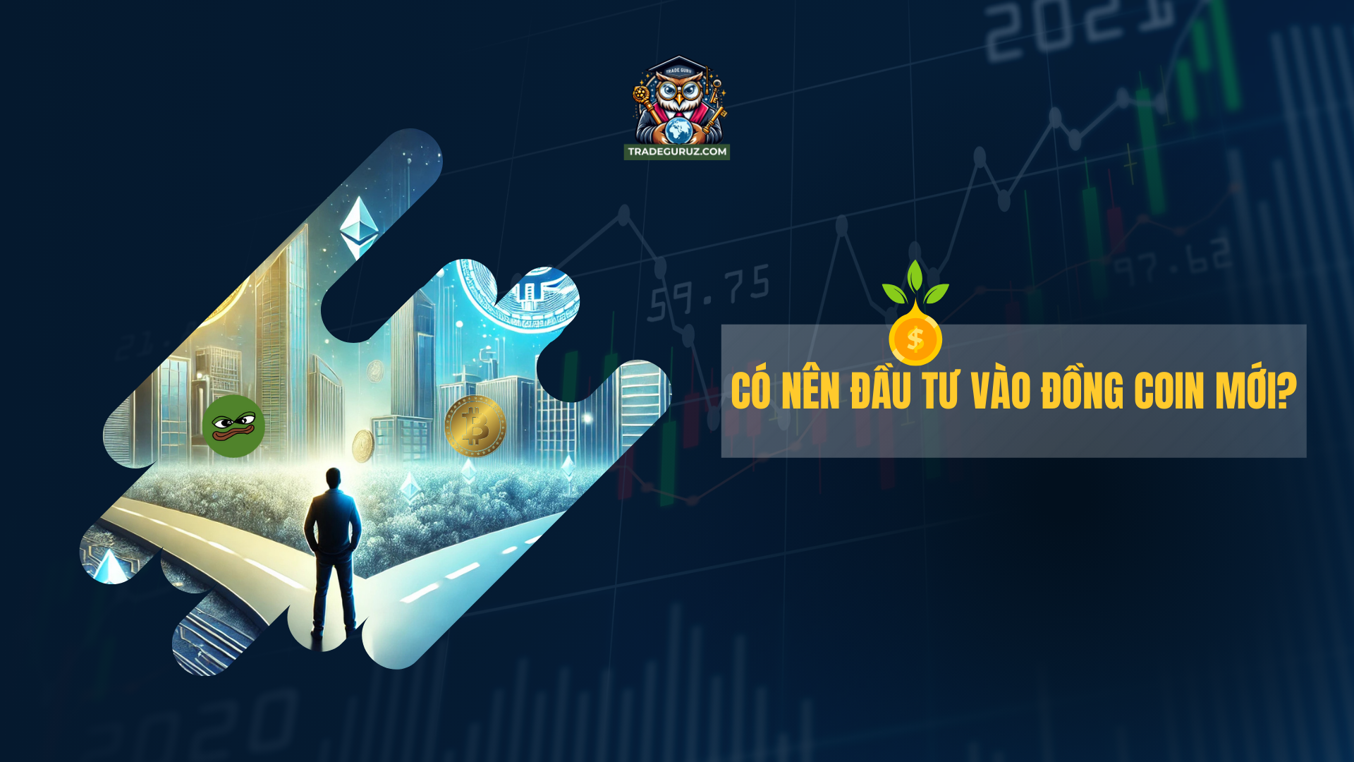 blog-image
